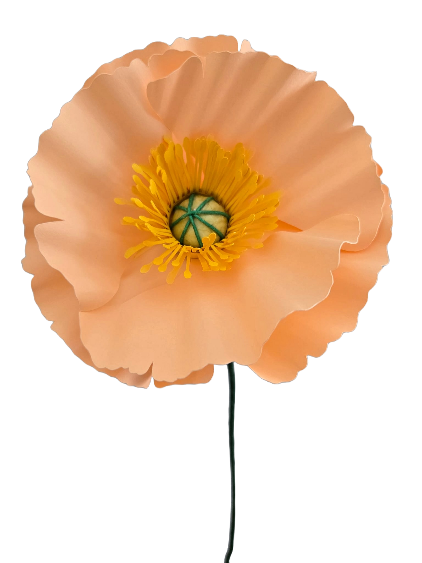 Icelandic Poppies